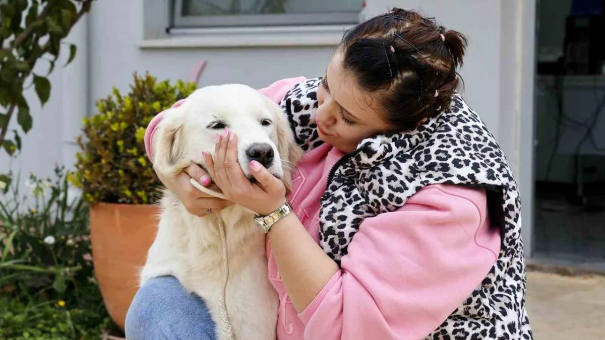 Antalya Kepez’de Sokak Hayvanları İçin Sahiplenme Çağrısı