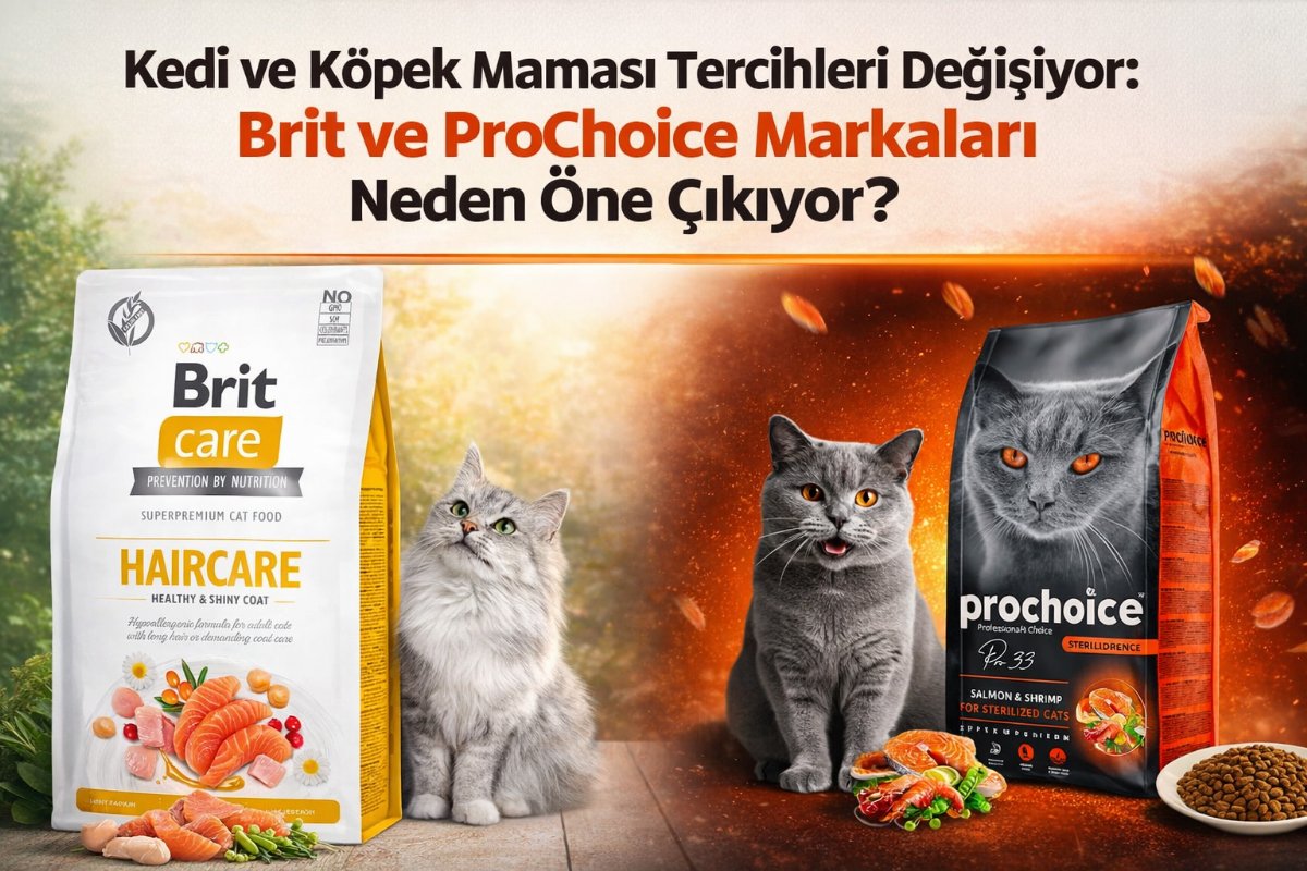 Kedi ve Köpek Maması Tercihleri Değişiyor