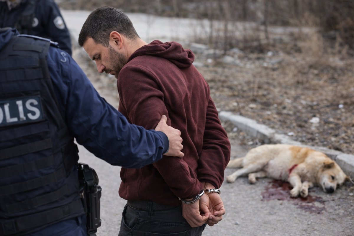 Kırşehir’de Köpeği Tüfekle Vuran Şahıs Tutuklandı