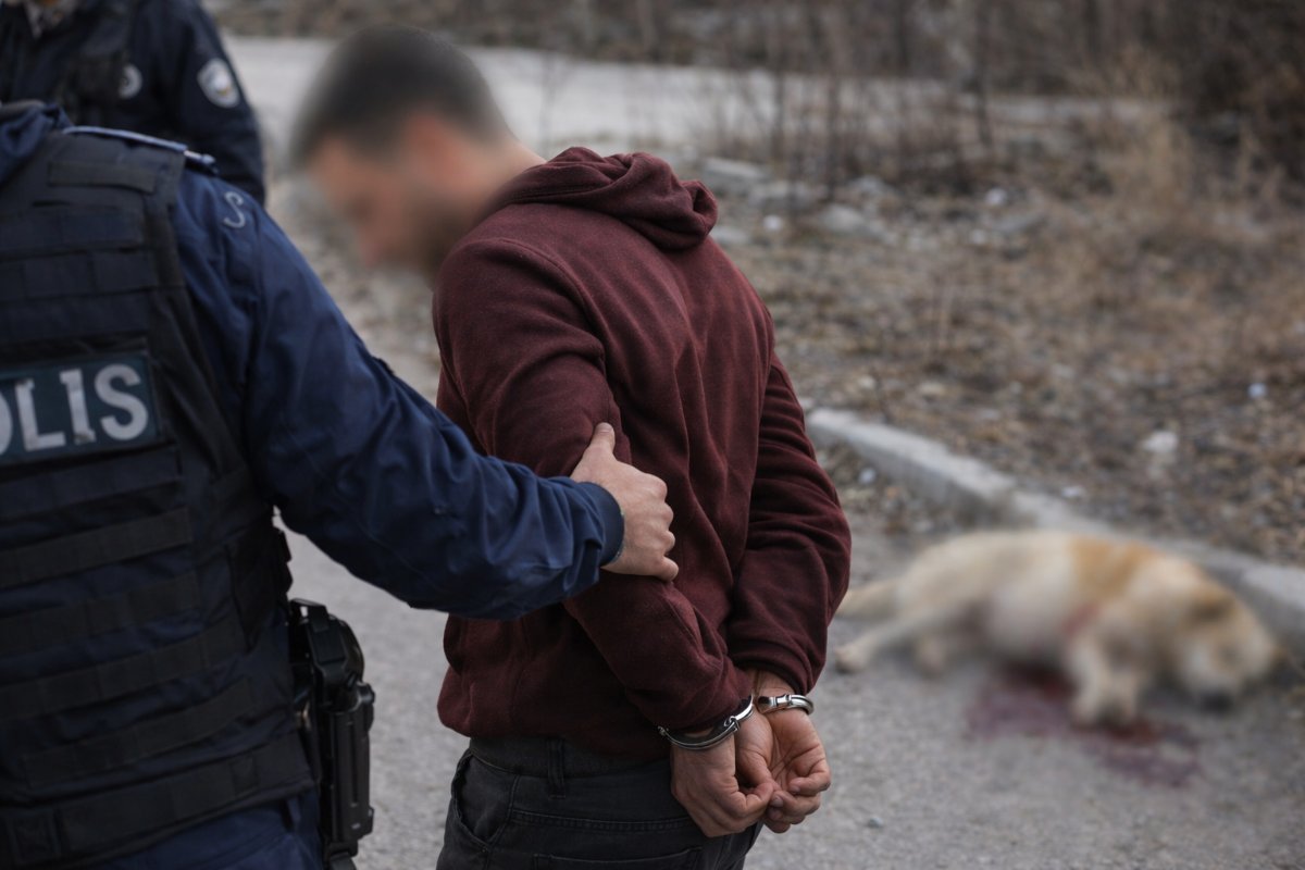 Kırşehir’de Köpeği Tüfekle Vuran Şahıs Tutuklandı