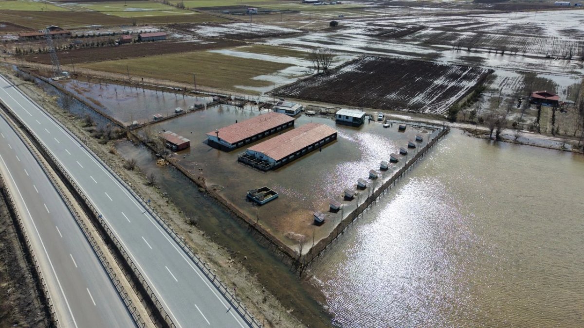 Kızılırmak Taştı, Kangal Çiftliği Sular Altında Kaldı