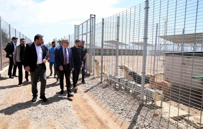 Kocaeli’de 650 Kapasiteli Modern Hayvan Barınağı Hizmete Açıldı