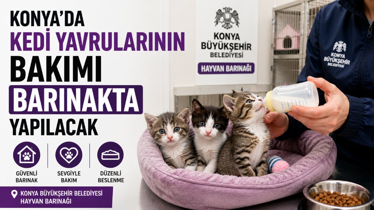 Konya’da Annesiz Kalan Yavru Kediler Koruma Altına Alındı