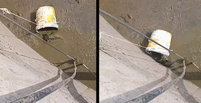 Konya’da kanala düşen kedi kovayla kurtarıldı