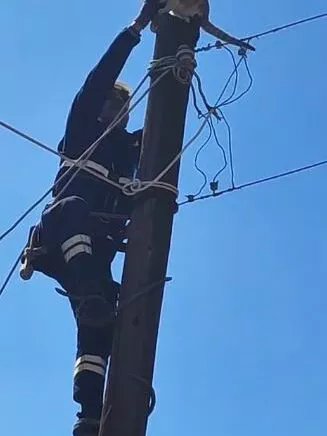 Köpeklerden Korkan Kedi Elektrik Direğinde Mahsur Kaldı