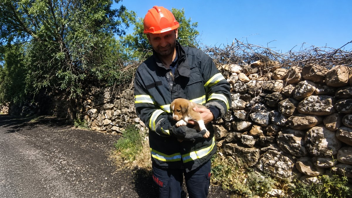 Kuyuya düşen yavru köpek ekiplerin çalışmasıyla kurtarıldı