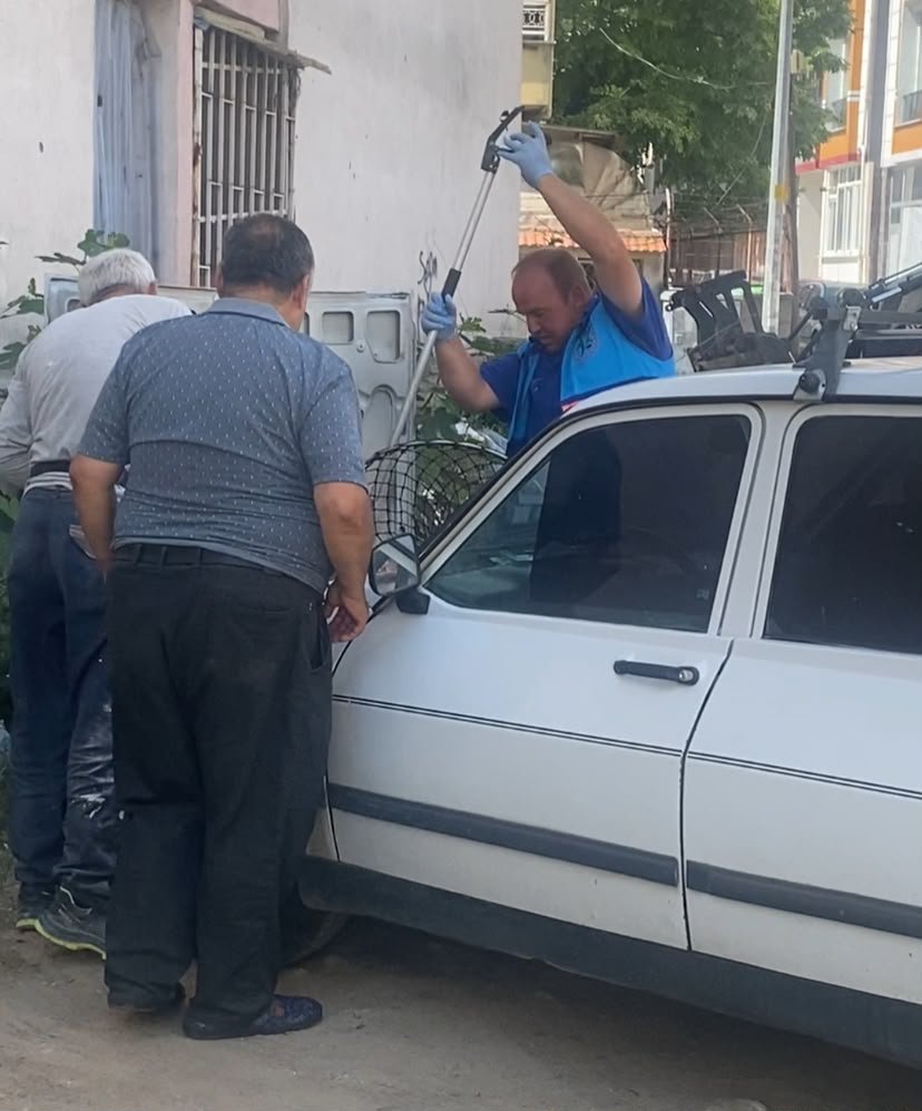 Lüleburgaz’da yaralı kedi için zamanla yarış
