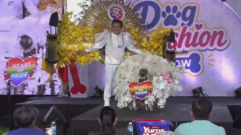 Manila’da Podyum Bu Kez Köpeklerin: Filipin Esintili Kostümler Yarıştı