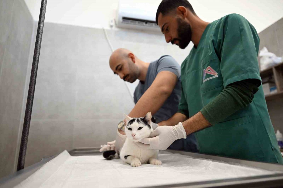 Mersin Büyükşehir Belediyesi Anamur Kedi Kısırlaştırma Merkezi’ni Açtı