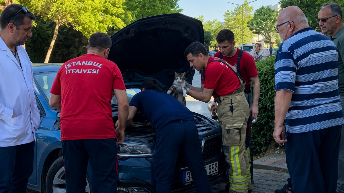 Motora giren kedi kurtarıldı