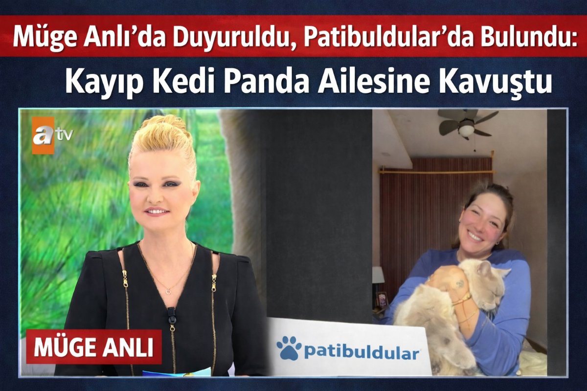 Müge Anlı'da Duyuruldu, Patibuldular Sayesinde Bulundu: Kayıp Kedi Panda Ailesine Kavuştu