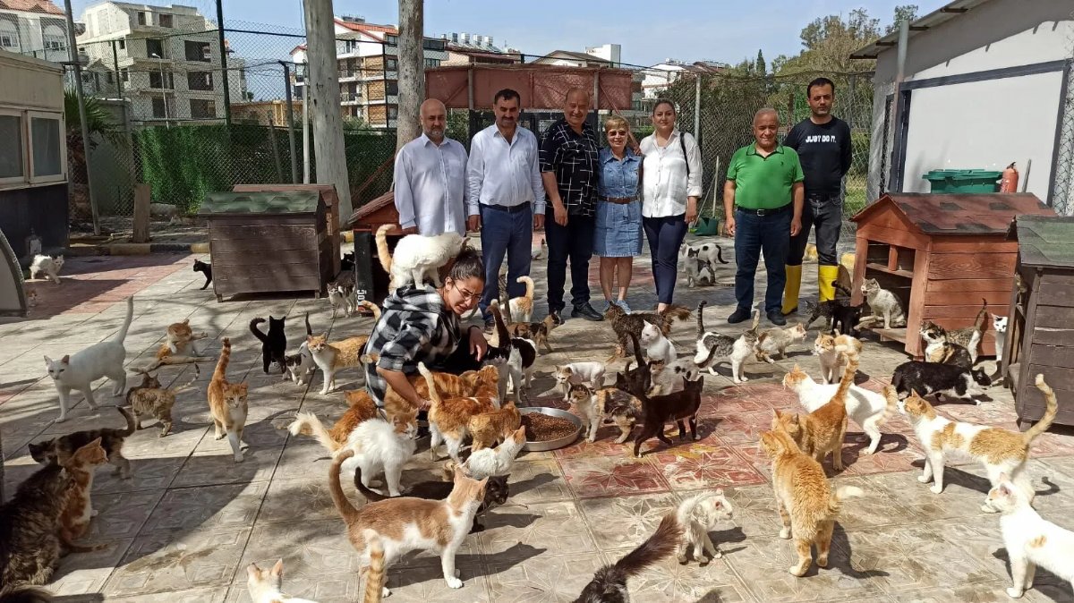 Muhtarlardan kedi rehabilitasyon merkezine destek
