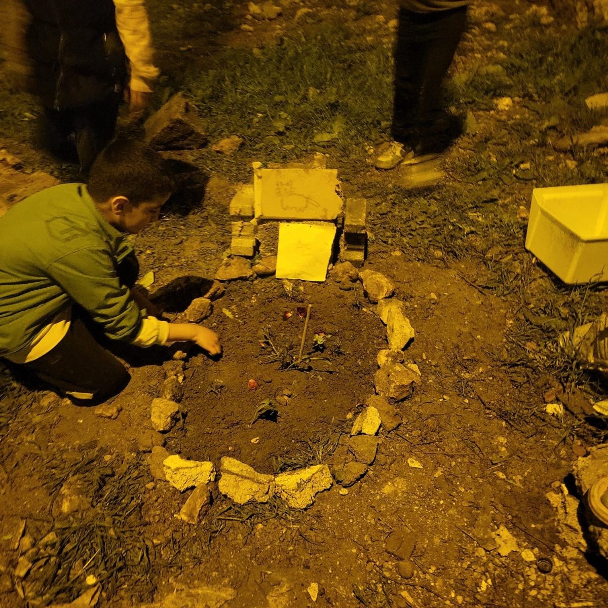 Nusaybin’de Çocuklardan Duygulandıran Davranış: Telef Olan Kediye Kendi Elleriyle Veda Ettiler