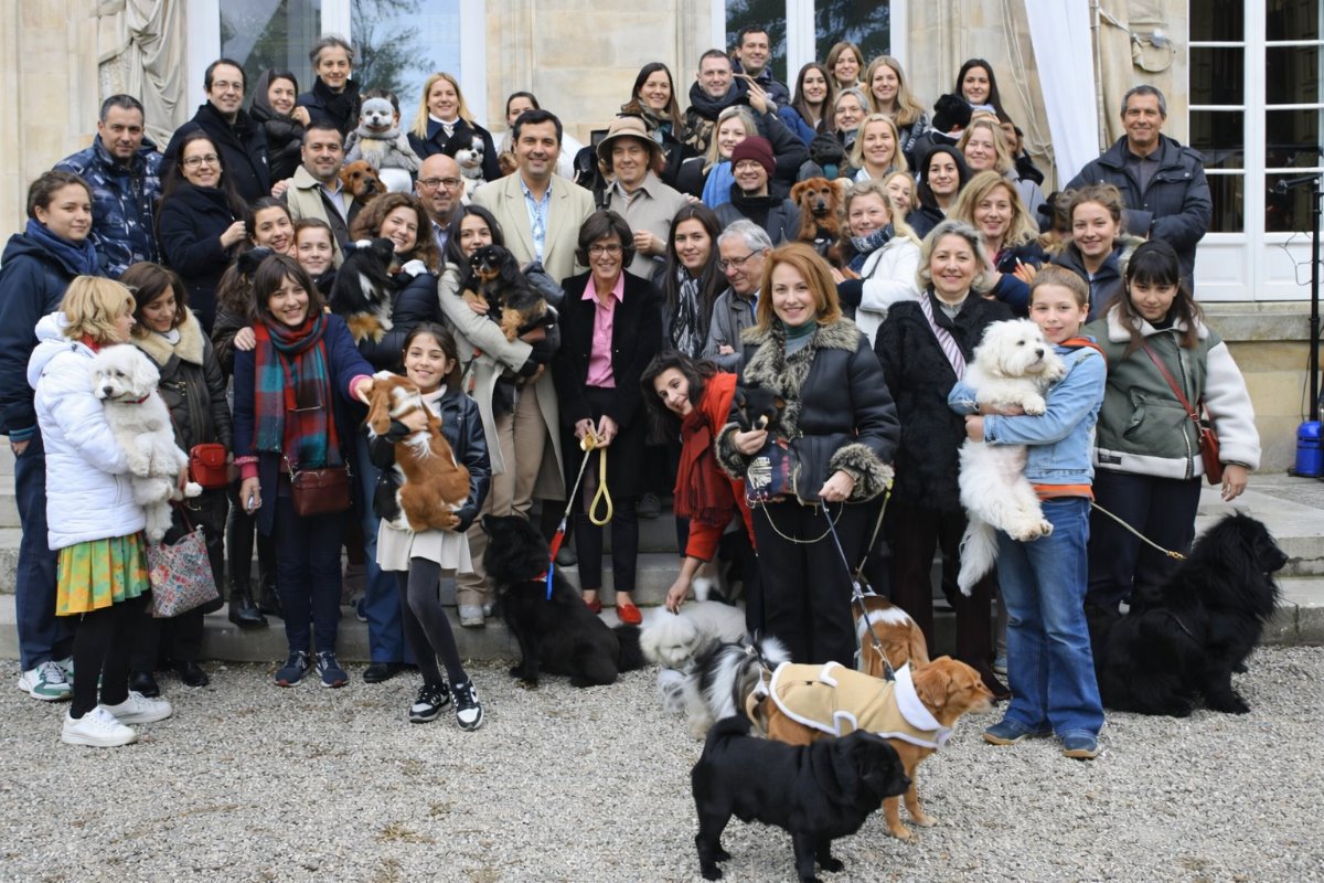 Paris’te Seçim Gündemi Değişti: Köpek Sahipleri Yarışın Kilit Oy Kitlesi Oldu