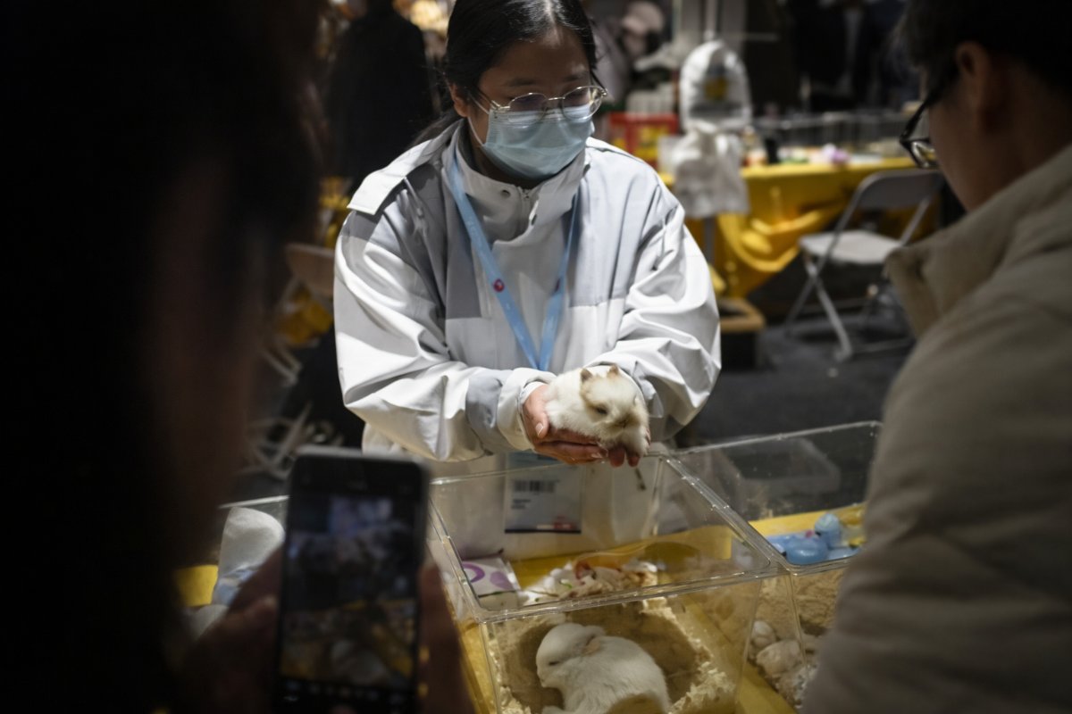 Pekin’de Egzotik Hayvan Çılgınlığı: Fuarı Gençler Domine Etti