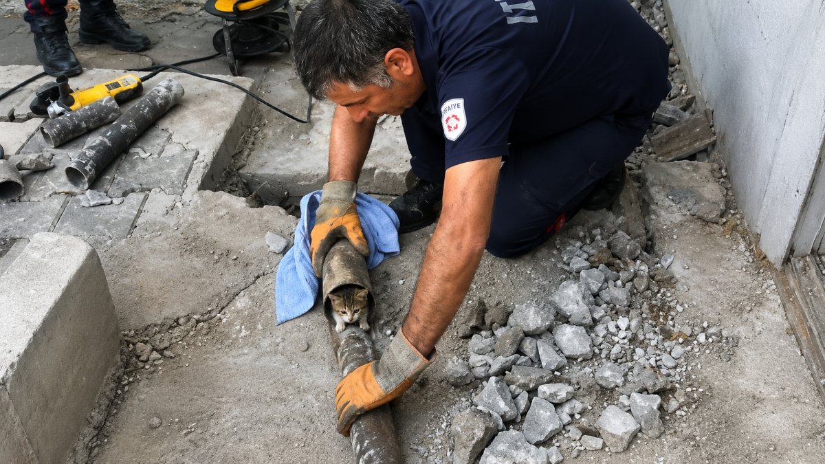 Plastik boruya sıkışan yavru kedi kurtarıldı