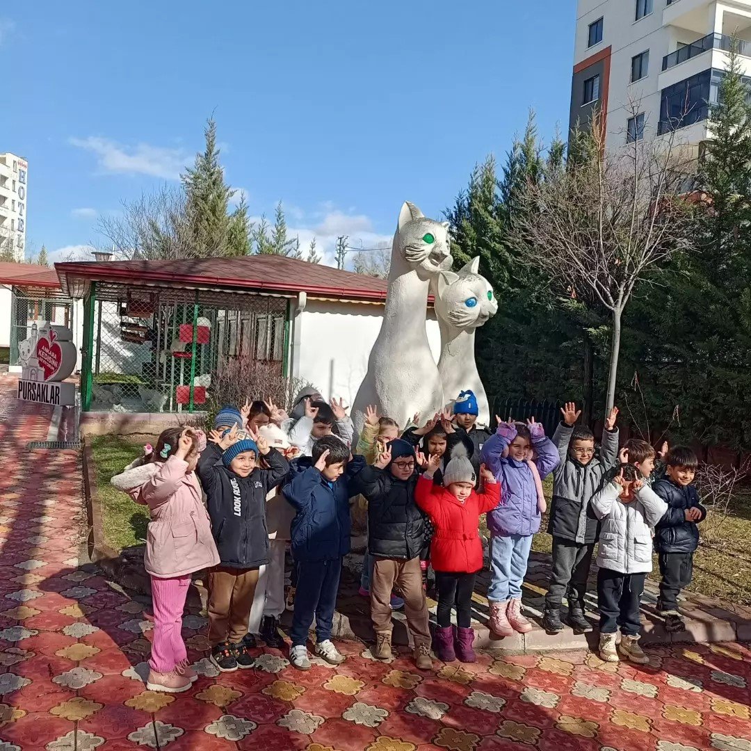 Pursaklar’da Minik Öğrenciler Ankara Kedileriyle Buluştu