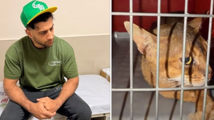 Reynmen, kedi saldırısı sonrası hastaneye gitti