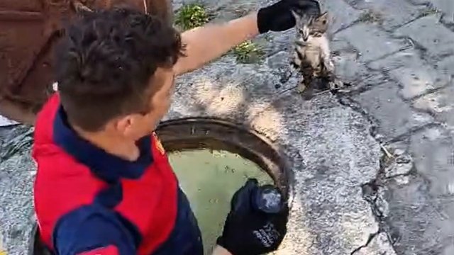 Rögara düşen yavru kedi 1 saatlik çalışmayla kurtarıldı