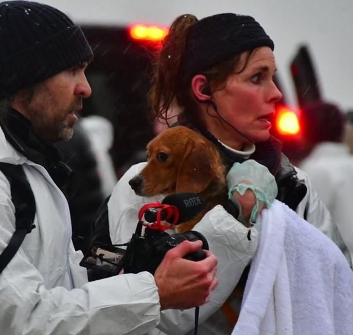“Sahil Güvenlik” Yıldızı Alexandra Paul, Köpek Kurtarma Eylemi Sonrası Tutuklandı