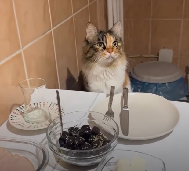 Sahur Sofrasına Sessizce Eşlik Eden Minik Misafir Gülümsetti