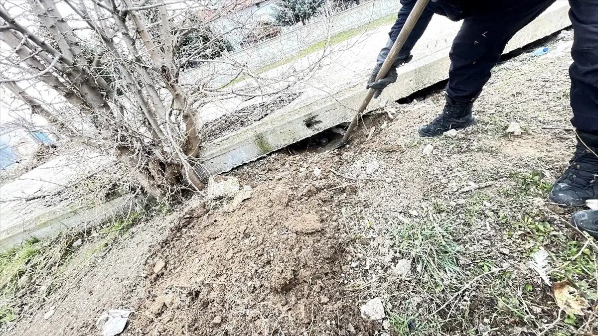 Sivas’ta Beton Bloğun Altında Mahsur Kalan Sahipsiz Köpek Kurtarıldı