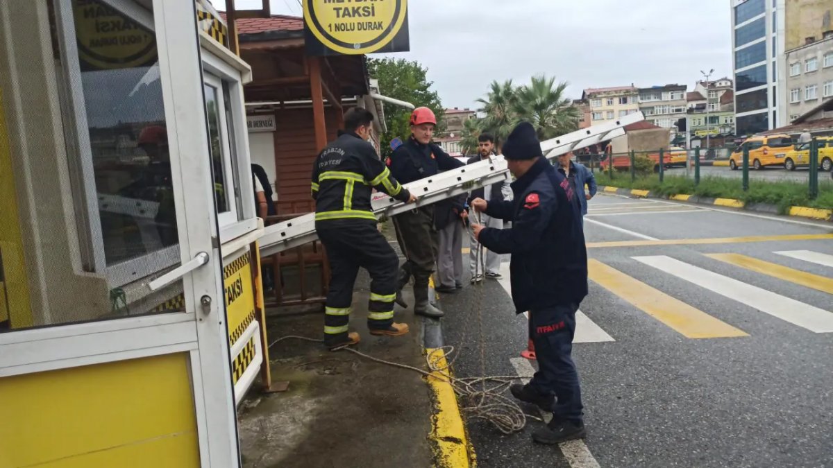 Sürmene’de Derede Mahsur Kalan Kedi İtfaiye Ekiplerince Kurtarıldı