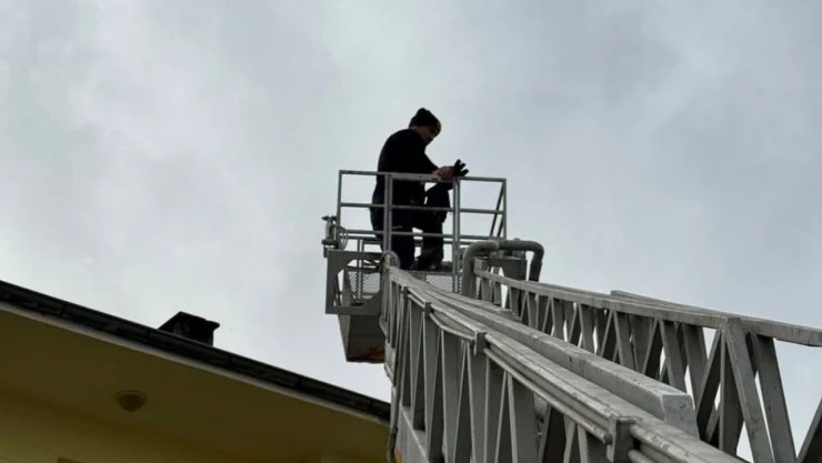 Taşköprü’de Çatıda Mahsur Kalan Kedi İtfaiyenin Müdahalesiyle Kurtarıldı