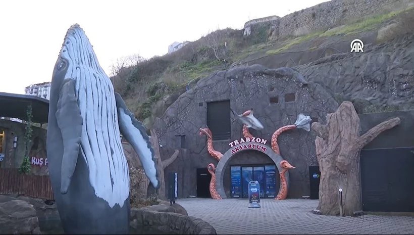 Trabzon Akvaryumu Ziyaretçi Rekoru Kırdı: Vatoz, Anakonda ve Piton Aynı Çatı Altında