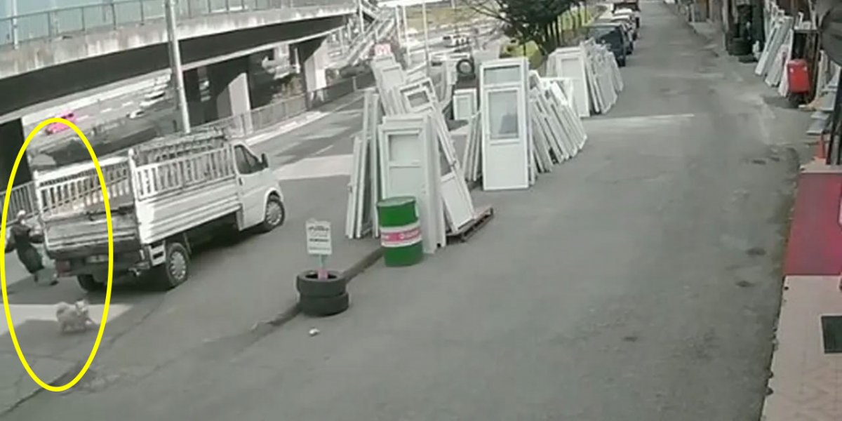 Trabzon’da Sokak Köpeğinden Kaçan Üniversite Öğrencisine Otobüs Çarptı