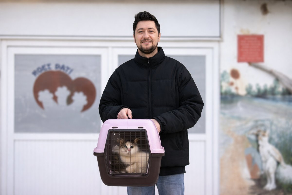 Yalova’da Yaralı Bulunan “Şanslı” Hayata Tutundu, Yeni Yuvasına Kavuştu