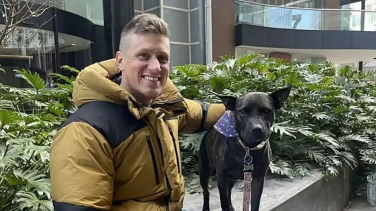 Yapay Zekâ Destekli Deney: Kanserli Köpek İçin Geliştirilen Aşı Tümörü Büyük Oranda Küçülttü