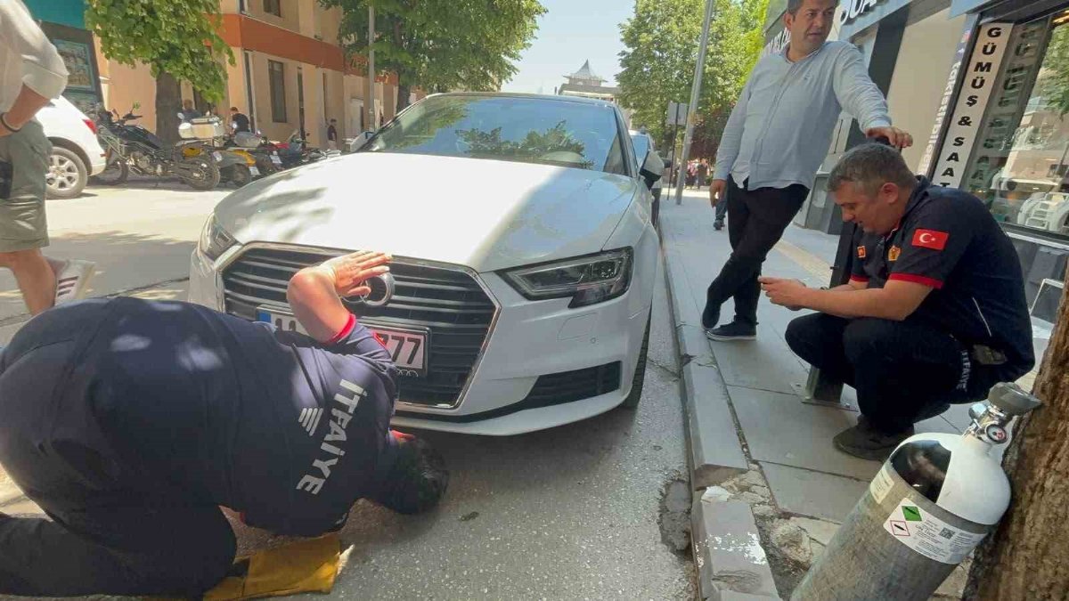 Yavru kedi itfaiye ekiplerini peşinden koşturdu